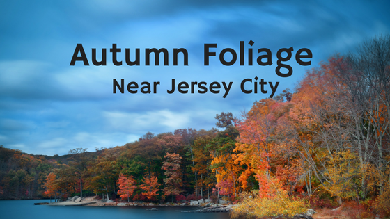 Autumn Foliage Near Jersey City