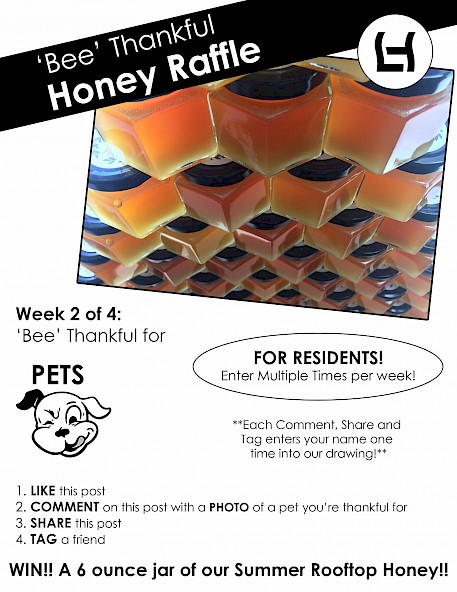 ‘BEE’ THANKFUL HONEY RAFFLE WEEK 2: PETS