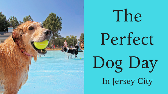 The Perfect Dog Day in Jersey City